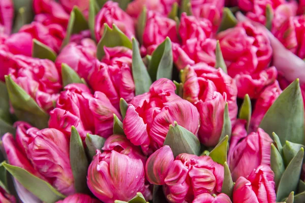 Amsterdam, venta de flores en el mercado de flores. Ramos de