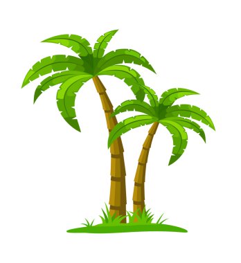 Palmiye ağacı - beyaz izole