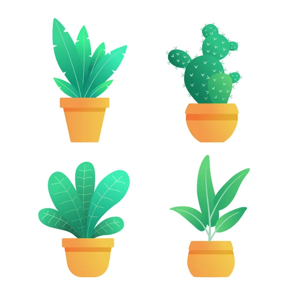 Collection House Plants Pot Royalty Free Stock Vectors