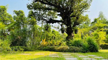Tatiller ve partiler için peyzaj..