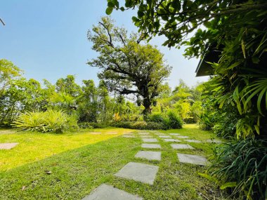 Tatiller ve partiler için peyzaj..