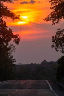 Sabah güneşi çok güzel parlıyor..