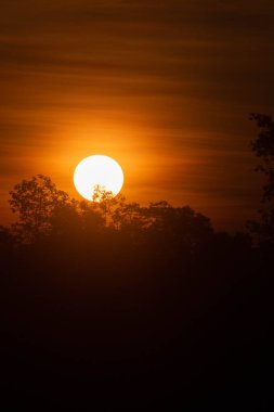 Sabah güneşi çok güzel parlıyor..
