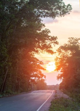 Sabah güneşi çok güzel parlıyor..
