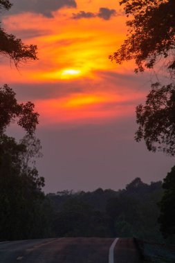 Sabah güneşi çok güzel parlıyor..