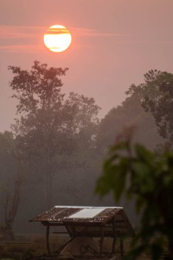 Sabah güneşi çok güzel parlıyor..
