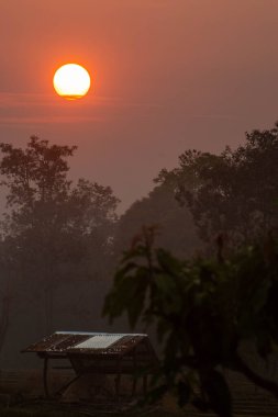 Sabah güneşi çok güzel parlıyor..