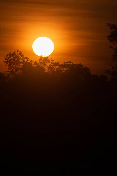 早朝の太陽が美しく輝いている — ストック写真