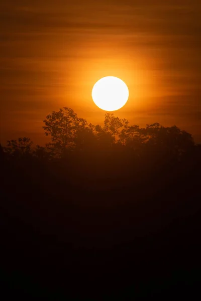 Early Morning Sun Shining Beautifully — Stock Photo, Image