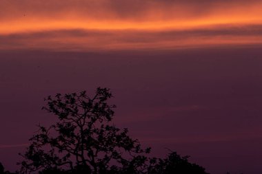 Akşam güneş batarken gökyüzünün rengi.