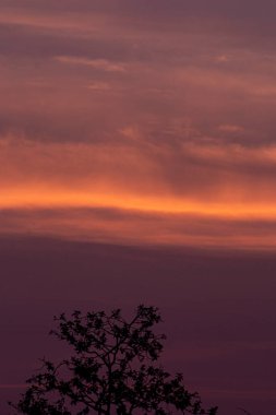 Akşam güneş batarken gökyüzünün rengi.