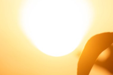 Sabahları güneş ışığı parlıyor. Bu, vücudun sağlığına yararlı olan bir sabah ışığı.