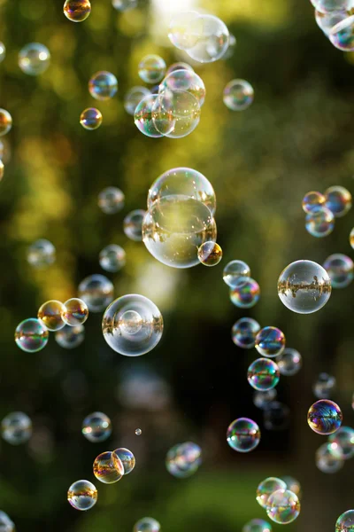 Die Regenbogenblasen Aus Dem Blasengebläse — Stockfoto