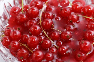 Kırmızı geçerli dut