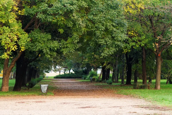 Foto Van Een Groen Park Het Midden Van Stad — Stockfoto