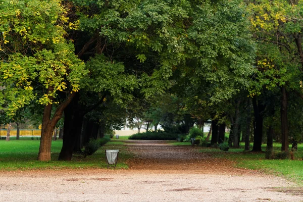 Foto Van Een Groen Park Het Midden Van Stad — Stockfoto