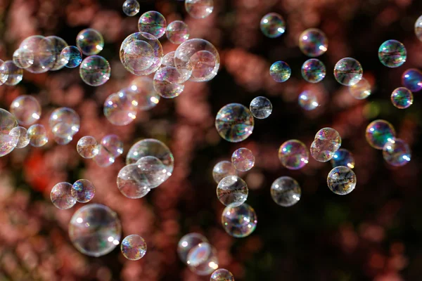 The rainbow bubbles from the bubble blower