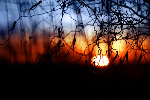 Zonsondergang achtergrond - abstracte foto — Stockfoto