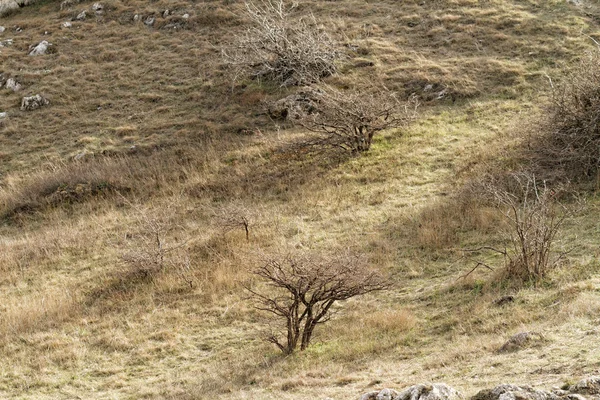 Lugar montanhoso — Fotografia de Stock