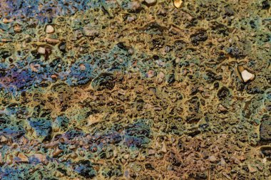 zeytinyağı dökmek 