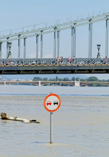 Donau i budapest — Stockfoto