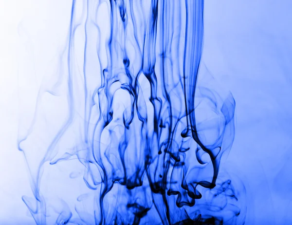 Theezakjes geweekt in water — Stockfoto