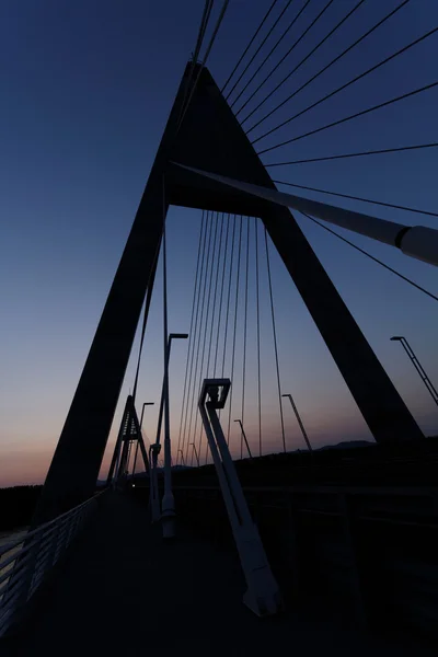 Megyeri Köprüsü - Macaristan — Stok fotoğraf