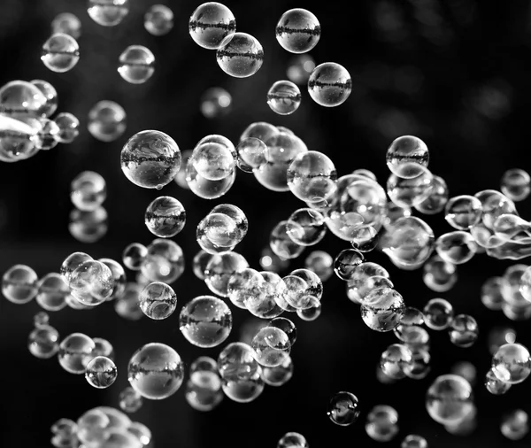 Soap bubbles — Stock Photo, Image