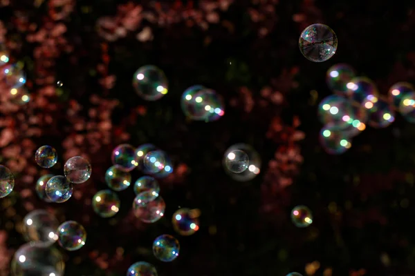 Soap bubbles