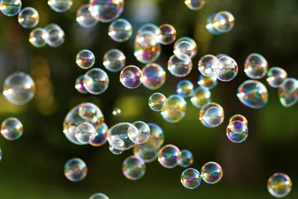 Soap bubbles — Stock Photo, Image