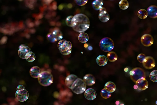 Soap bubbles — Stock Photo, Image