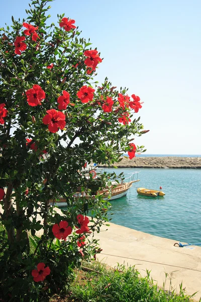 Bella costa in Turchia — Foto Stock