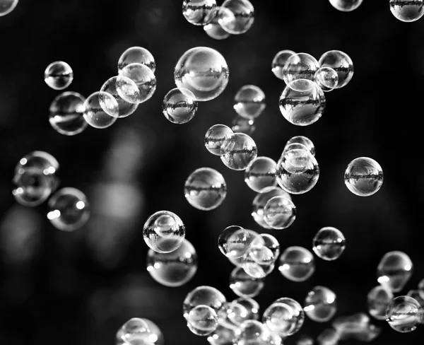 Bubbles from bubble blower — Stock Photo, Image