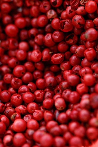 Granos de pimienta roja brillante —  Fotos de Stock