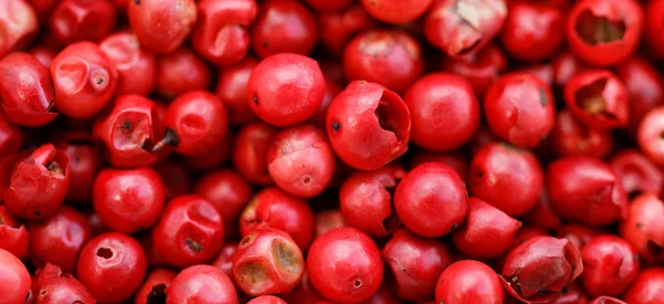Φωτεινά κόκκινα πιπέρια — Φωτογραφία Αρχείου