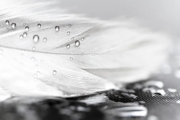 Pena branca com gotas de água — Fotografia de Stock