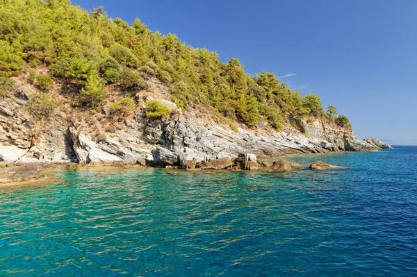 緑豊かな美しい島 — ストック写真