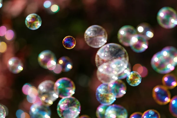 Bubbles from bubble blower — Stock Photo, Image