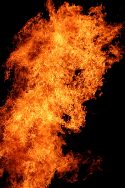 Bellissimo fuoco da campo — Foto Stock