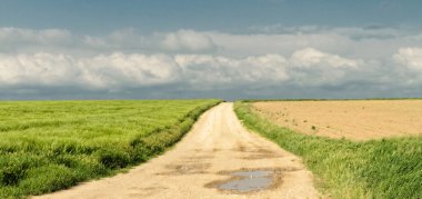 mavi gökyüzünün altında yolu