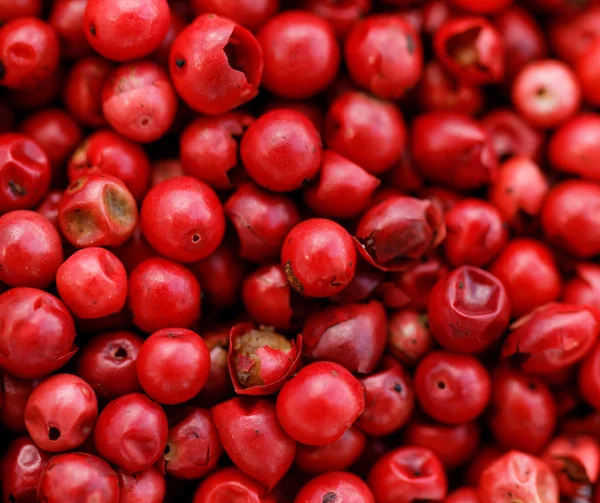 Granos de pimienta roja brillante —  Fotos de Stock