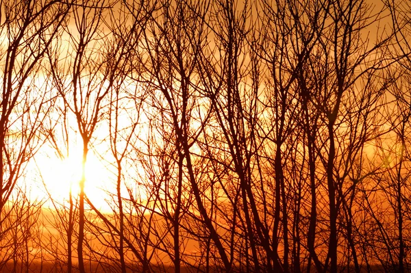 Cielo drammatico tramonto — Foto Stock