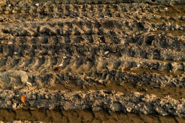 Kirli kırık kırsal yol 