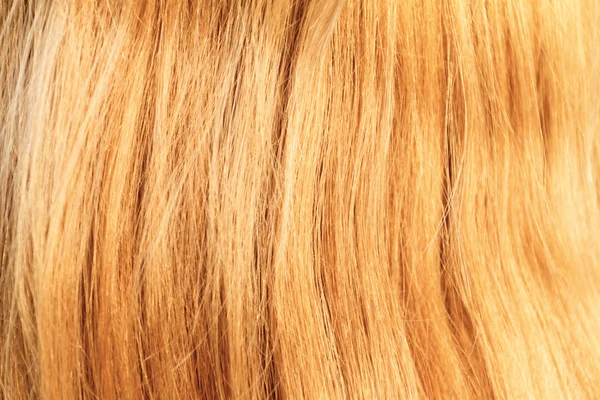 Textura de cabello rubio — Foto de Stock