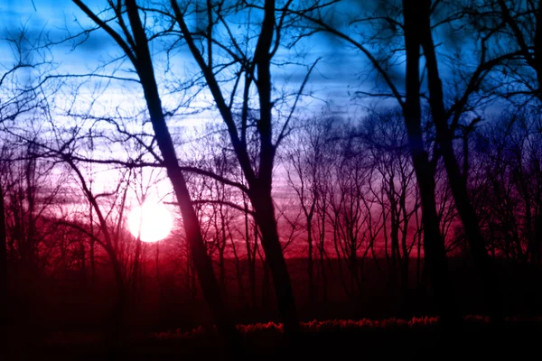 Cielo drammatico tramonto — Foto Stock