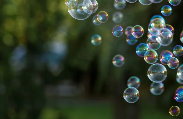 Радужные мыльные пузыри — стоковое фото