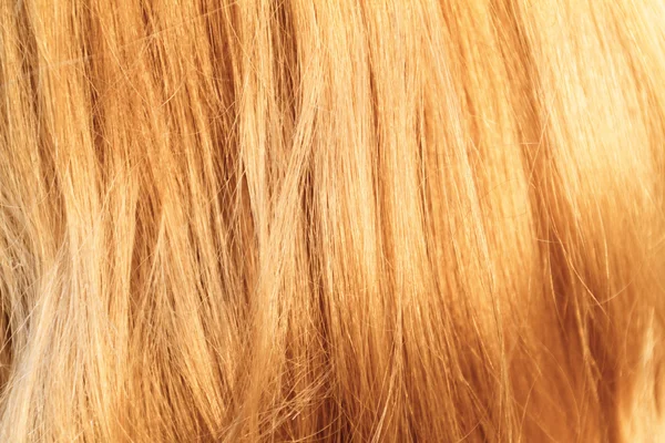 Textura de cabelo loiro — Fotografia de Stock