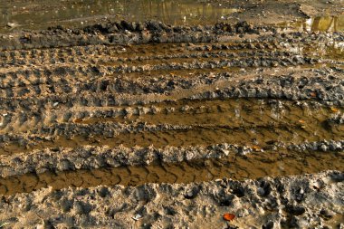 Kirli kırık kırsal yol 