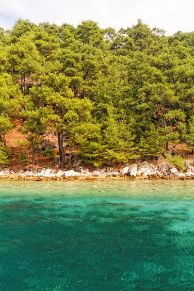 Beautiful green island — Stock Photo, Image