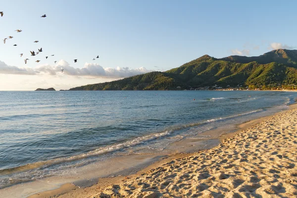 Beautiful landscape of sea — Stock Photo, Image